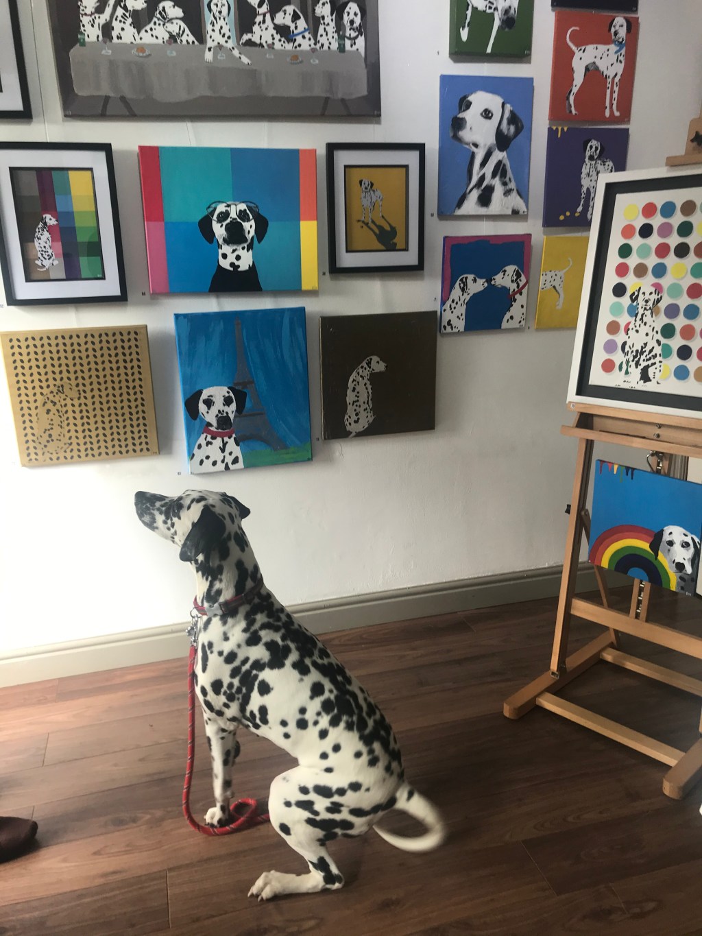 ▪️‘101 Dalmatian Days’ at Flying Ducks Art Gallery,&nbsp;Stone